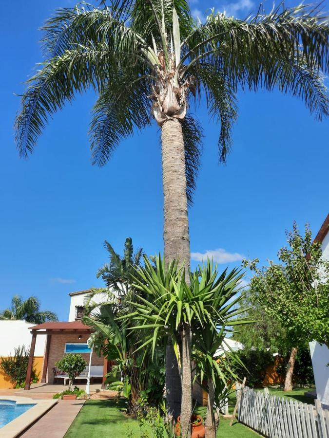Chalet La Huerta Con Piscina Y Wifi Conil De La Frontera Extérieur photo